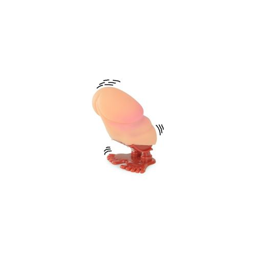 Zizi sauteur