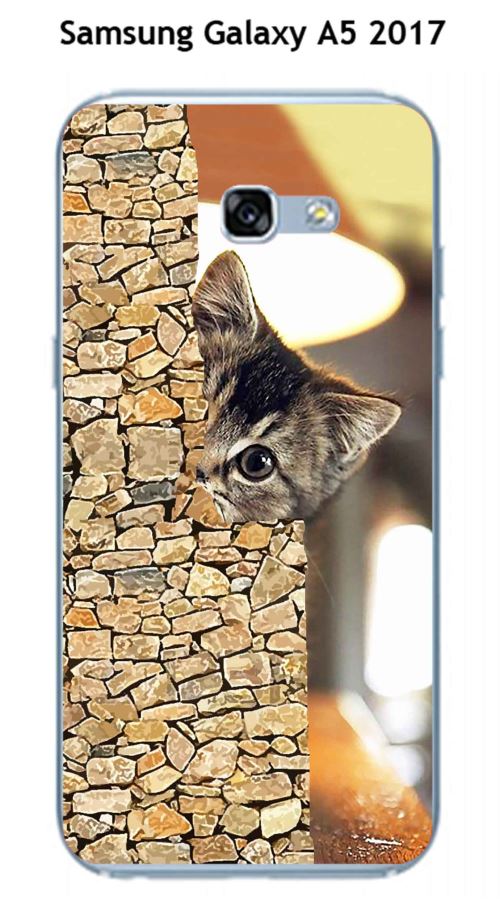 Coque TPU gel souple Samsung Galaxy A5 - 2017 design Chat caché