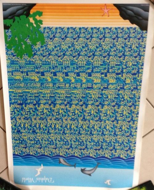DAUPHIN - 62x90 cm - AFFICHE / POSTER