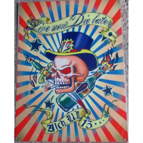 plaque crane coloré tete de mort 70x50cm tole deco us salon tatouage tattoo old school