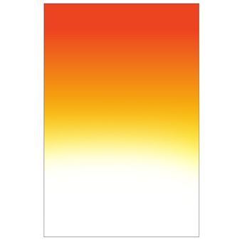 LEE Filtre Résine Standard Coucher de Soleil 2 - Filtre ...