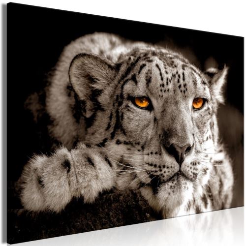 Tableau - Magic Eyes (1 Part) Wide .Taille : 120x80