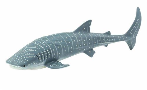 Safari animaux marins Requin-baleine junior 23,5 cm gris