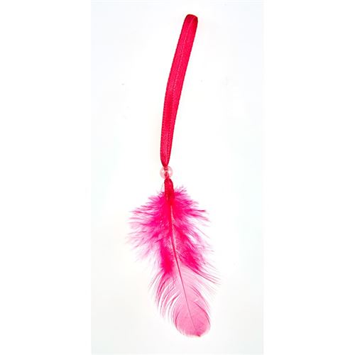 12 plumes avec lien fuchsia 16 cm