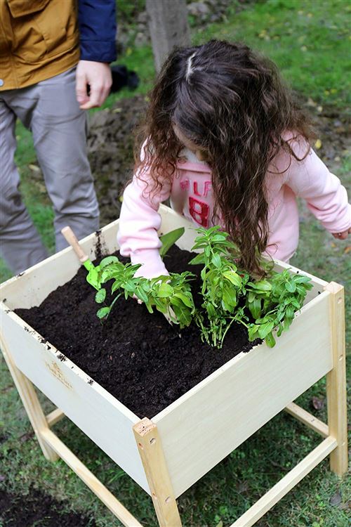 EverEarth - Ee33720 - Bac De Jardinage - Multicolore