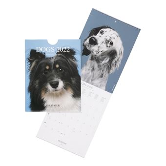 Petit Calendrier Mural Chiens - 2022 - Draeger Paris