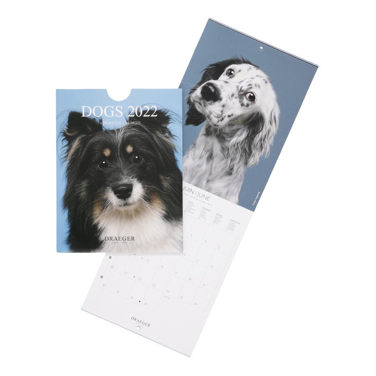 petit calendrier mural 2022