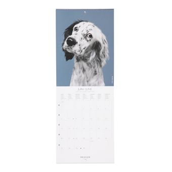 Petit Calendrier Mural Chiens - 2022 - Draeger Paris