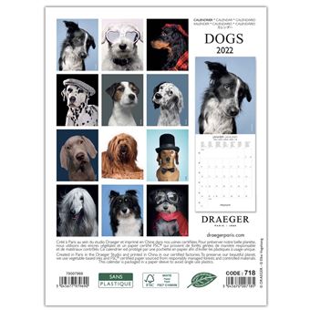 Petit Calendrier Mural Chiens - 2022 - Draeger Paris