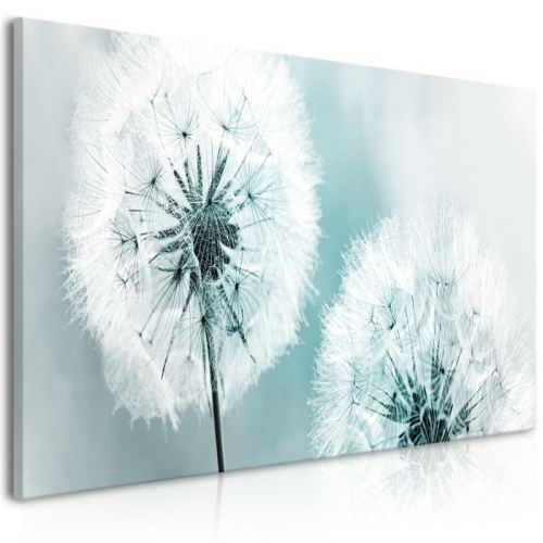 Tableau - Fluffy Dandelions (1 Part) Blue Wide .Taille : 100x45