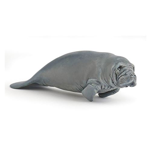 Lamantin