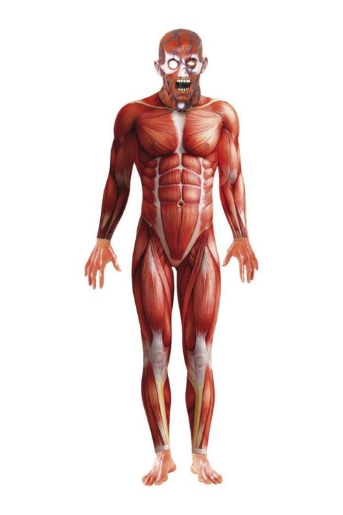 Costume homme anatomique m