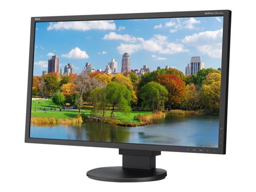 NEC MultiSync EA223WM - LED-monitor - 22 - 1680 x 1050 HD 720p - TN - 250 cd/m² - 1000:1 - 5 ms - DVI-D, VGA, DisplayPort - luidsprekers - zwart