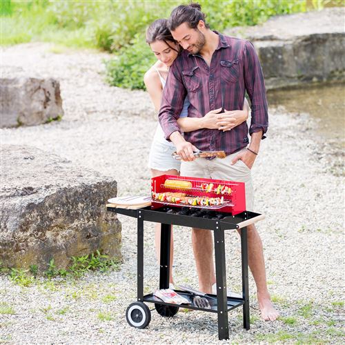 TecTake tectake Barbecue Charbon Chariot à 2 Roues avec les accessoires Neuf 