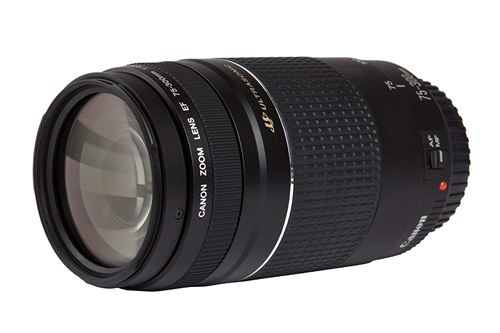 Objectif Reflex Canon Ef 75 300 Mm F 4 0 5 6 Iii Usm Zoom Achat Prix Fnac