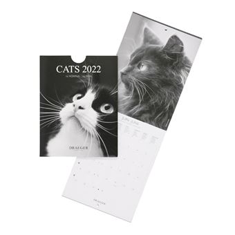 Petit Calendrier Mural Chats Noir Et Blanc - 2022 - Draeger Paris