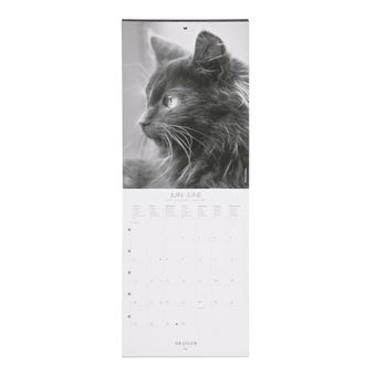 Petit Calendrier Mural Chats Noir Et Blanc - 2022 - Draeger Paris