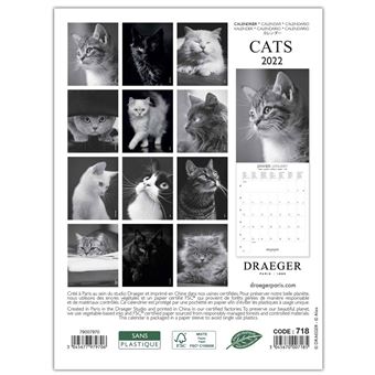 Petit Calendrier Mural Chats Noir Et Blanc - 2022 - Draeger Paris