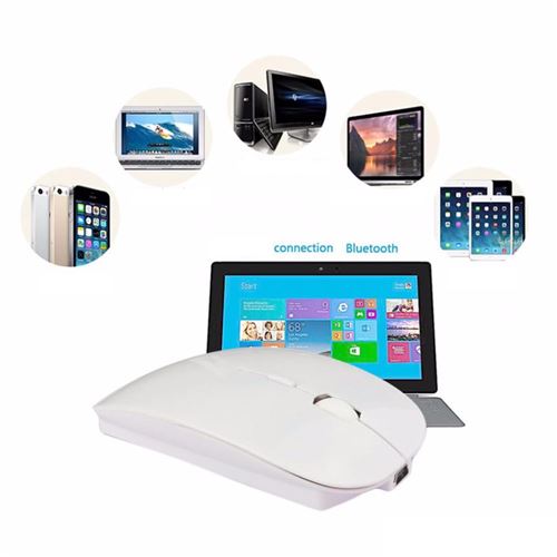 Souris sans fil optique - Bluetooth 2.4 - Dpi réglable + dongle Bluetooth  USB - pour PC et MAC - Blanc - Souris - Achat & prix