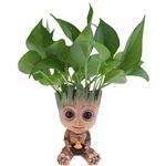 Pot de fleurs décoratif avec trou de drainage en forme de bébé Groot