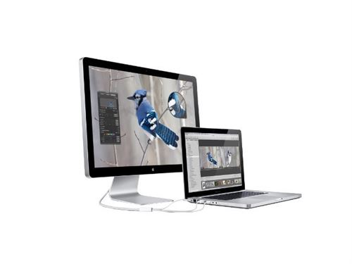 Apple Cinema Display 20インチTFT M9177J/A モニタ コンピュータ