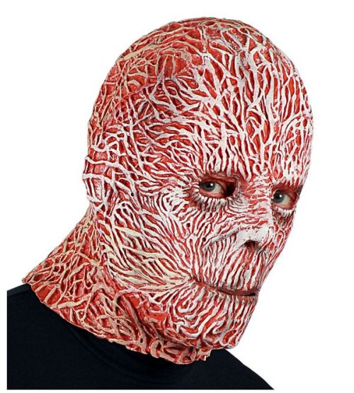 Masque intégral latex terrifiant harceleur