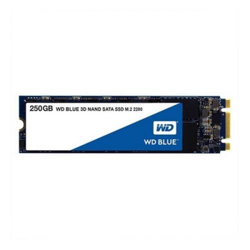 Disque dur Western Digital WDS250G2B0B SSD 250 GB SATA III