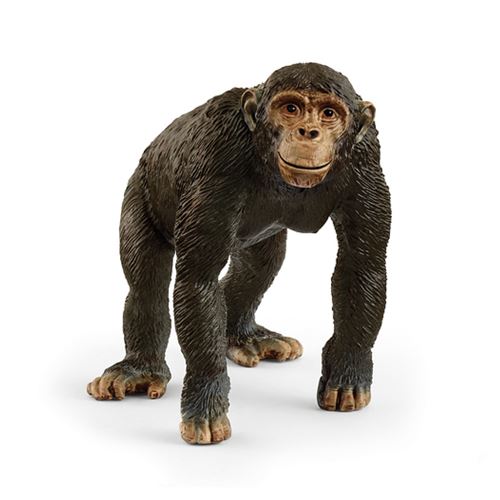 Non Communiqué Beige 14883 Figurine Chimpanze
