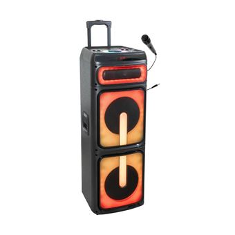 Ibiza - STUPDJ1400 - Enceinte Standup Special Karaoke • 2 x 10/25cm 1400W avec Effects Lumineux A LED, Micro & Trolley - 1
