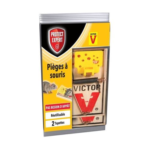 Protect Expert SOUTAP2 Pieges a Souris - 2 Tapettes Bois Pex