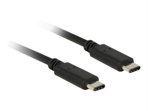 Delock - USB-kabel - 24 pin USB-C (M) naar 24 pin USB-C (M) - USB 2.0 - 50 cm - zwart
