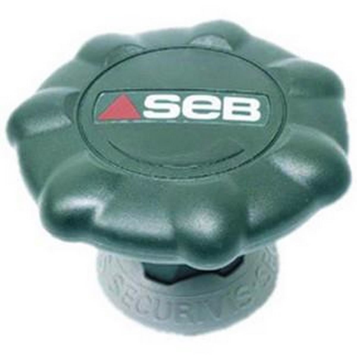 Bouton de serrage vert Cocotte-minute 980004 SEB - 38168 - Achat & prix |  fnac