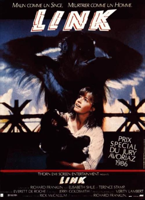 Link AFFICHE CINEMA ORIGINALE