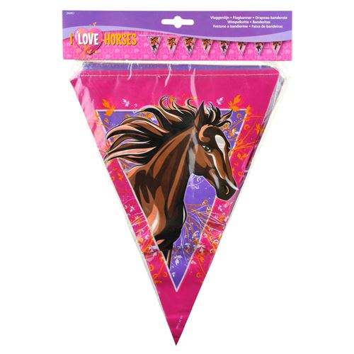 Ligne du drapeau des chevaux, 9,5 m
