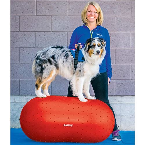 Meilleurs prix pour FitPAWS Plate-forme d'équilibre pour animaux de compagnie 50 cm Rouge
