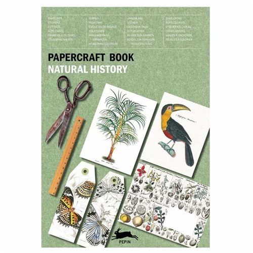Carnet de scrapbooking - Nature, insectes, plantes - Cartes, enveloppes, autocollants - Pepin