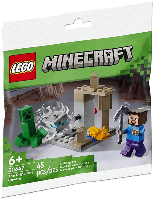 LEGO® Minecraft™ 30647 La caverne de spéléothèmes État correct - N/A reconditionné disponible sur Fnac