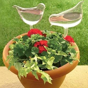 Taille Cœur Dispositif d'arrosage automatique des plantes de jardin et  domestique, 5 formes, bocaux en verre, outil décoratif pou - Cdiscount  Jardin