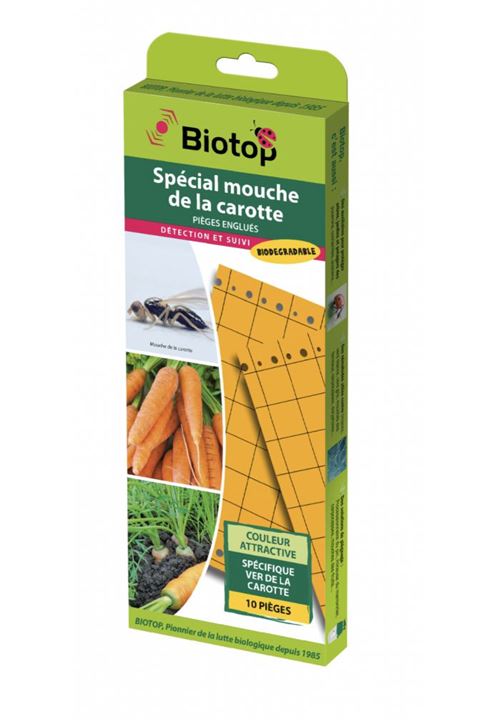 piège englué chromatique oranges