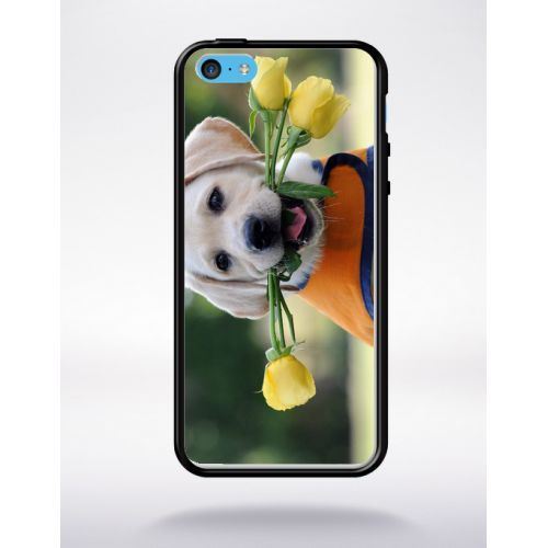 Coque chiot labrador avec roses jaunes compatible apple iphone 5c bord noir silicone
