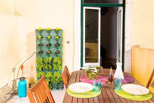 Minigarden Vertical Kitchen Garden pour 24 Plantes, Comprend Le kit d’arrosage Goutte-à-Goutte, Autoportant ou Fixé au Mur (Vert)