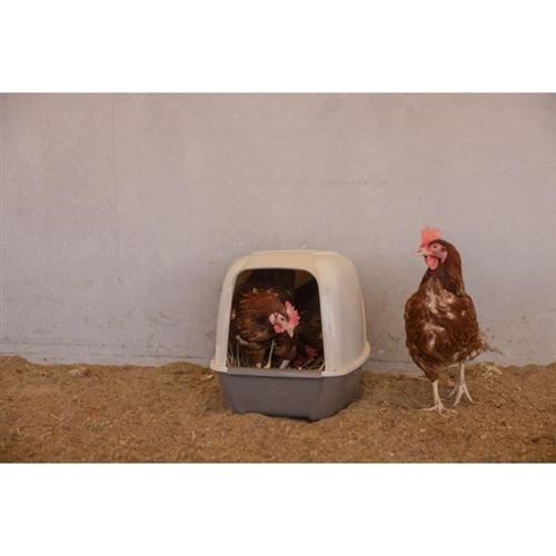 Pondoir Pour Poules - Kerbl - 52 X 39 X 39 Cm