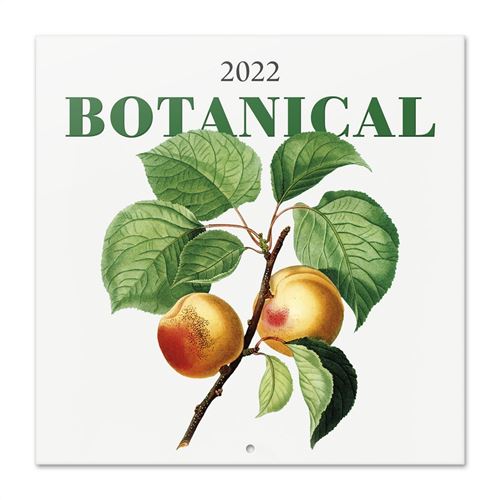 Calendrier 2022 30X30 Botanique