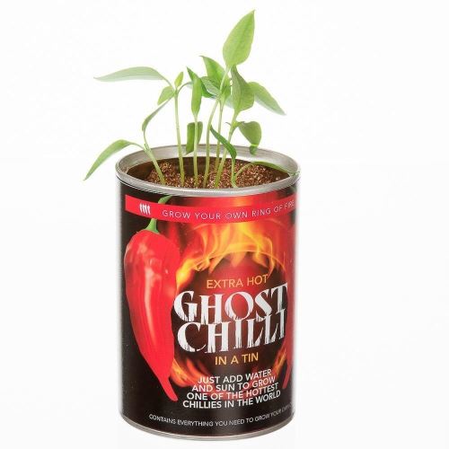 Grow Tour Own Ghost Chilli