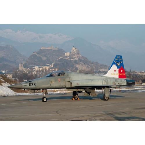 Maquette Avion : F-5E Suisse 65 Ans Base de Sion aille Unique Coloris Unique