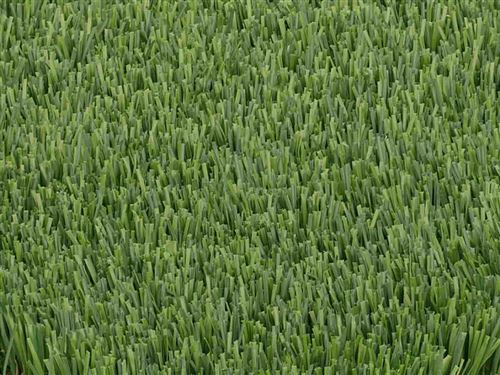 Gazon synthétique PAMPA - Rouleau 10m² (2x5m) en polyéthylène - épaisseur 30mm
