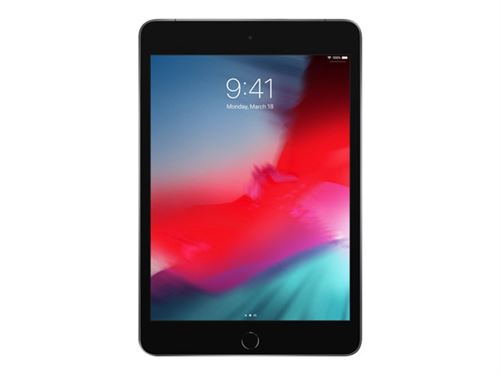 Apple iPad mini 5 Wi-Fi + Cellular - Tablette - 256 Go - 7.9 IPS (2048 x 1536) - 4G - LTE - gris