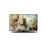 Panasonic TX-32F300 - 32" Klasse (31.5" zichtbaar) LED-tv - 720p 1366 x 768 - direct brandende led_0