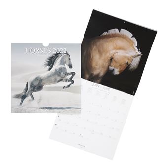 Grand Calendrier Mural Chevaux - 2022 - Draeger Paris