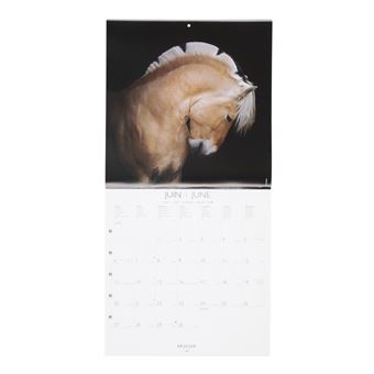 Grand Calendrier Mural Chevaux - 2022 - Draeger Paris